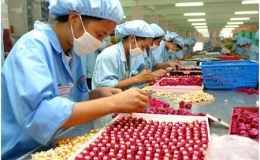 Doanh nghiệp nợ bảo hiểm tr&ecirc;n 10.000 tỷ đồng